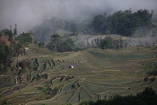 避坑指南：这些 “潜规则” 本地人才会悄悄告诉你（慎入）