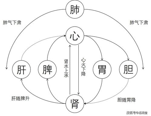 一、 气的概念与性质
