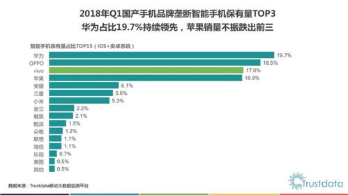 惨不忍睹的现状：当梦想照进现实