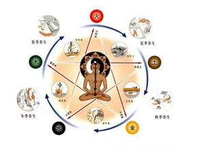 明日五行色穿衣和宜忌分别是什么？