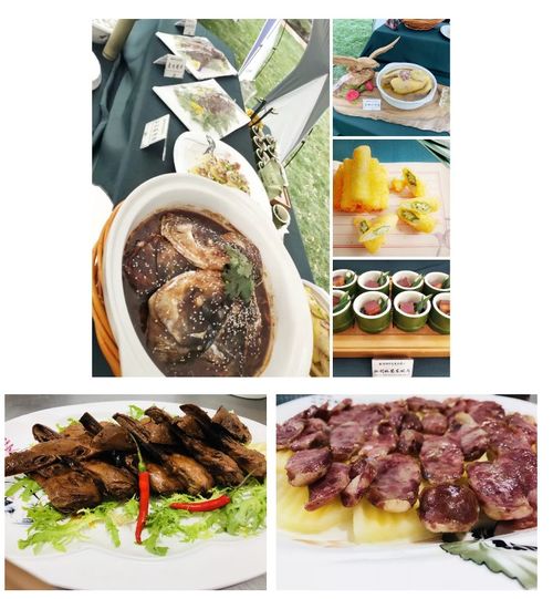 美食与住宿：满足味蕾与舒适