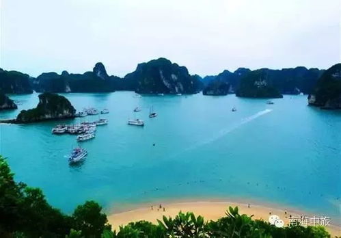 下龙湾的海鲜大排档潜规则