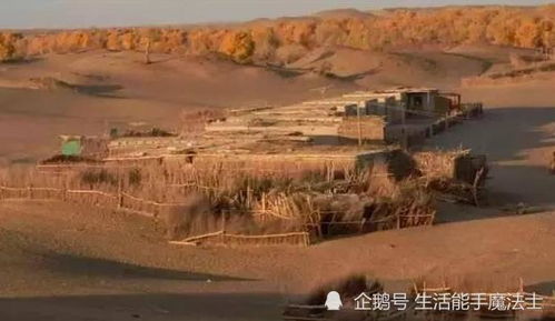 揭秘那些不为人知的神秘角落