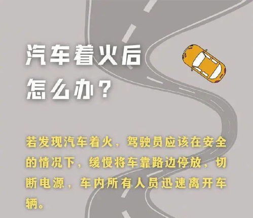 自驾小贴士 (敲黑板!)