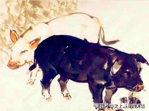 属猪男属龙配对，属猪男和属龙女配对分析具体有哪些优缺点？