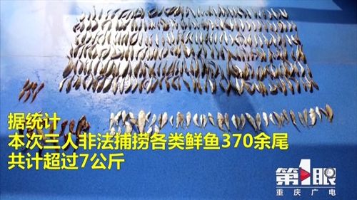 风水禁制失效：磁场失衡