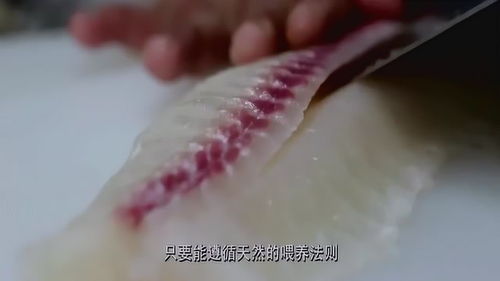 顺德鱼生dou是什么鱼,顺德鱼生有什么风水