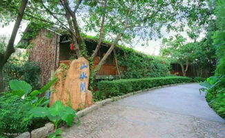 当便宜撞上糟心：观澜山水田园的魔幻现实之旅