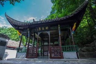 历史光环下的阴影