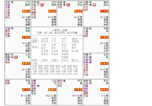 紫微命盘赵长鹏命格特点是什么？