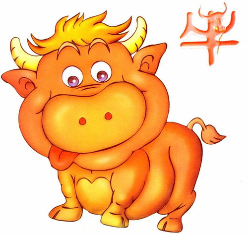 哪些属相的耐心和忍耐力忒别出众？