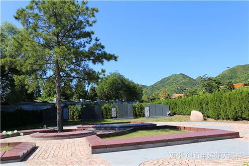 丰南墓地在哪里,唐山丰南陵园风水