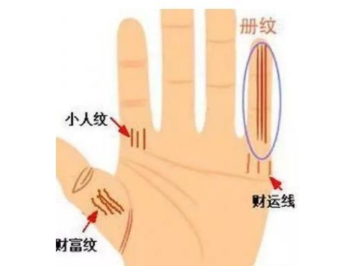 天河纹手相中，哪些手纹特征预示着十种富贵？