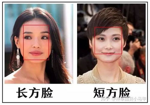 二、  方脸： softens  edges