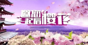 那些花儿等你晒，打卡网红圣地
