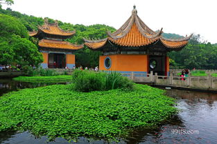 2. 普陀山风景区