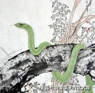 属蛇女2026年若有大祸缠身，招财颜色又是什么含义呢？