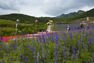 商家套路大揭秘