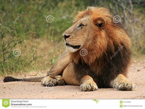 4. 那些不为人知的秘密