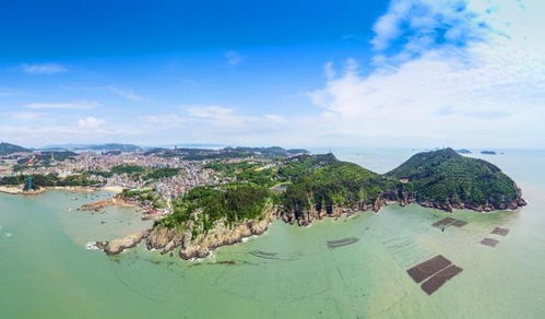 为什么选择洞头？