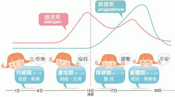 二、改名较大法：用名字掌控生理状况周期？（附表格）