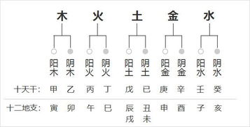 生辰八字的基本概念