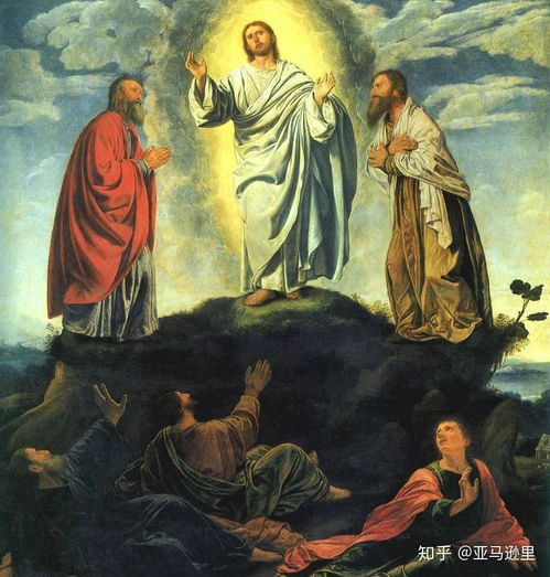 1、 天主教与世俗法律制度法规交错的迷雾——情感杂乱与程序繁琐并行