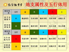 具体案例分析：灵感的碰撞