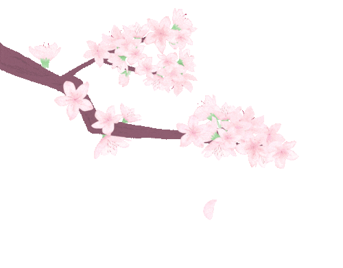 天然风光