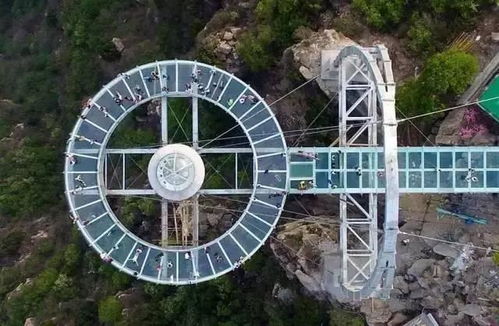 “飞碟”的故事：曾经的辉煌与争议