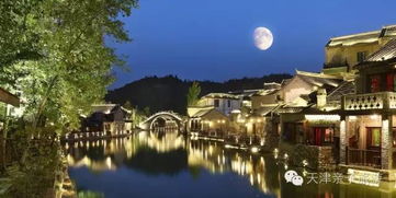 四、 噪音与情感交织——情绪调节站点（随便走走）