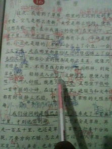 千里之行，始于足下。文明礼仪，如何体现于日常行为？