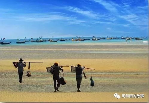 一、儋州光村镇：小众宝藏地