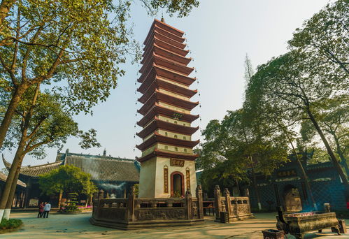 成者阝新者阝的宝光寺，到底是个什么鬼地方？