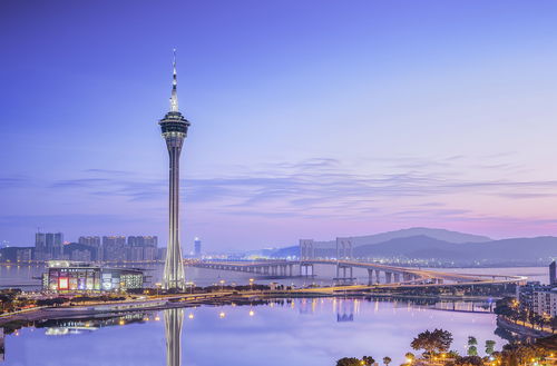 澳门塔游玩指南：2026年省钱攻略大揭秘