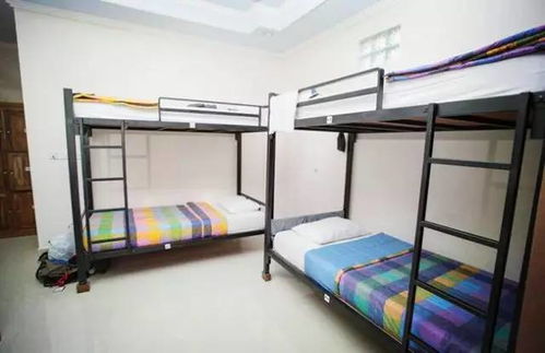 四、住宿推荐：舒适体验轻松出行（如家真的挺好的）