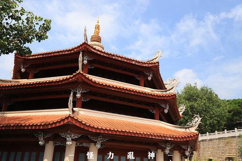 第二章：第一天——报国寺、 伏虎寺、还有那只爱抢香蕉的猴子🐒
