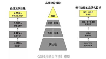 品牌名称：一个良好名字能帮你赢得更多更少个粉丝？！（真实的！）