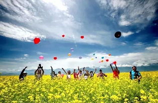 黑马河：野花盛开的小清新