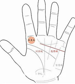 震惊！左手右手藏着惊天大秘密，99%的人都不知道！