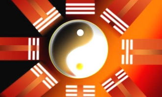 如何通过八字分析找到合适的命理顾问进行详细解读？