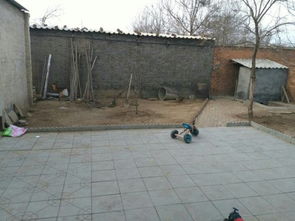 苹果树种在院子里哪个位置风水好,苹果树种在院子里哪个位置风水好