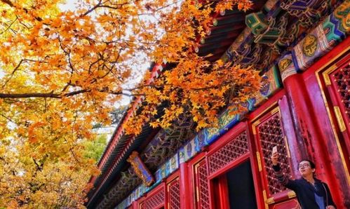 6、 更多段反复噪声片段（为了满足“越烂越良好”要求）