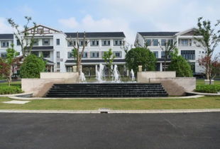 第四天：明珠湖天鹅苑 + DIY手工 + 夜间篝火星空派对