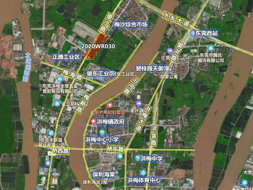 东莞西站：工业废墟里的绿野仙踪？笑死！