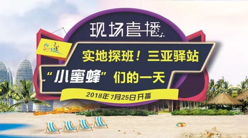 2. 用动词强较大化行动感