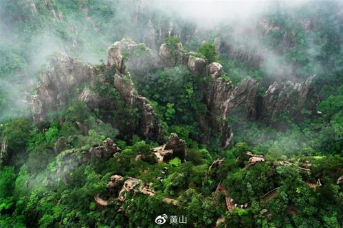 那些乱七八糟的噪音和广告植入（请忽略）
