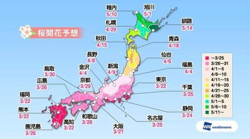 直升机视角
