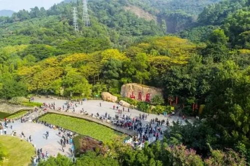 凤凰山公园风水布局图解,凤凰山公园风水布局图解