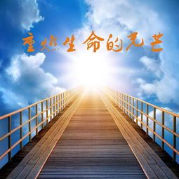 从咸鱼到烤鱼的蜕变